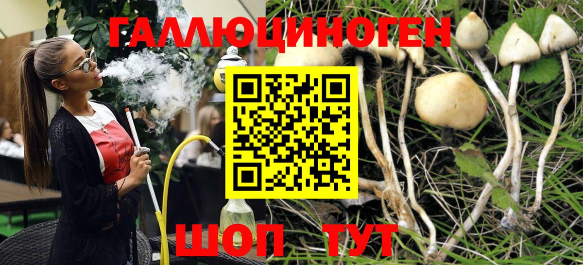 Галлюциногенные грибы мухоморы Петрозаводск
